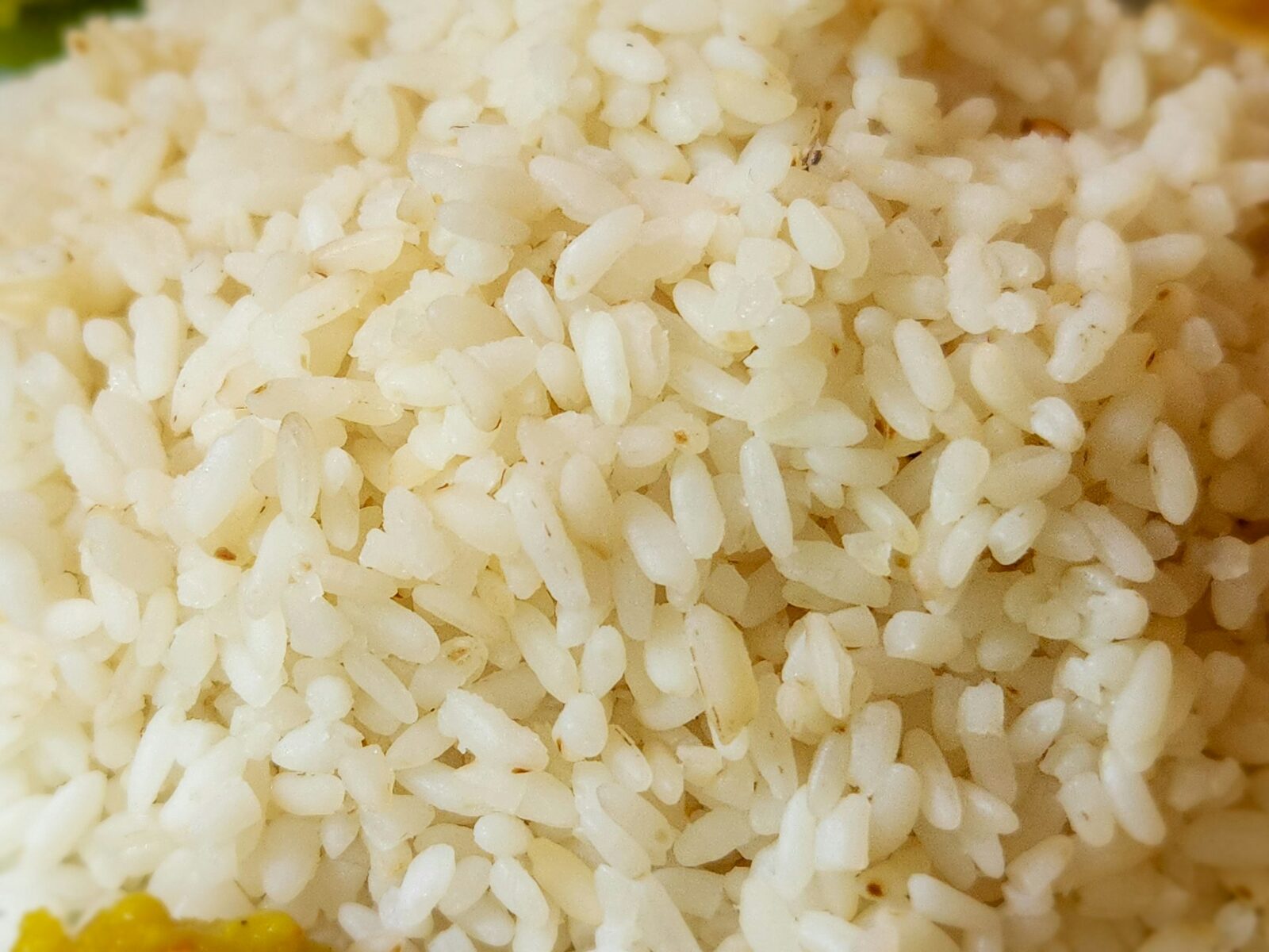 A pile of cooked white rice — showing the starch-rich, soft texture of prepared grains.